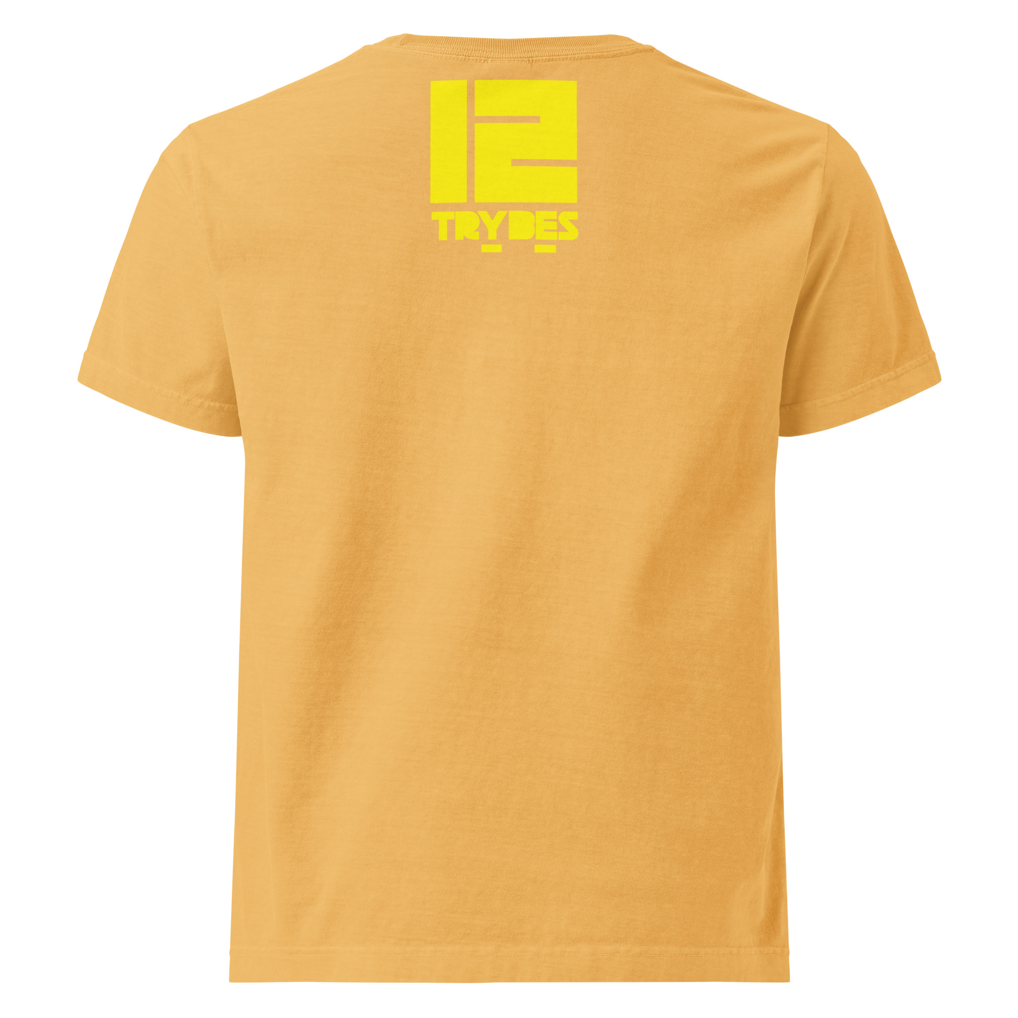 Unisex oversized t-shirt - Image 16